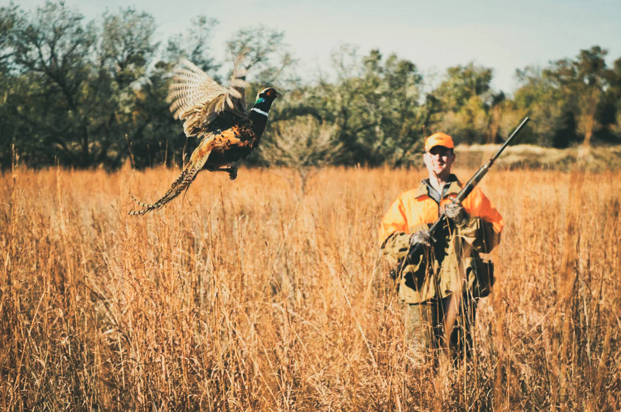 South Dakota Pheasant Hunting