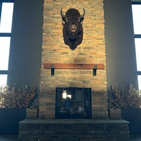 Stone Fireplace and Bison Mount