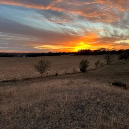 Guided Spring Turkey Hunting in Nebraska